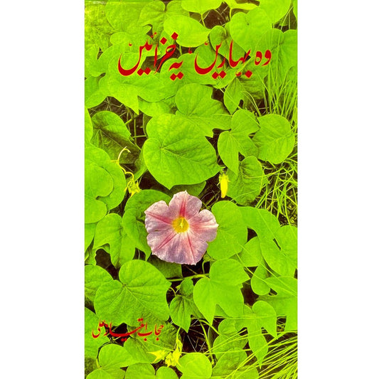 Wo Bahaarain, Yeh Khizaayein - Hijab Imtiaz Ali - Sang-e-meel Publications