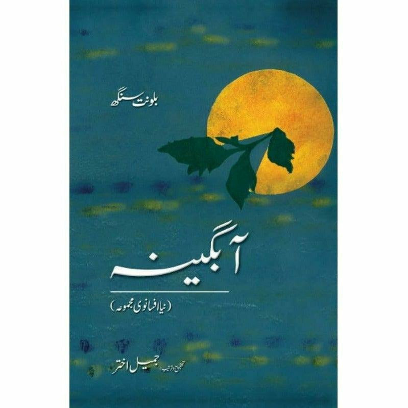 Abgeena - Books - Sang-e-meel Publications.