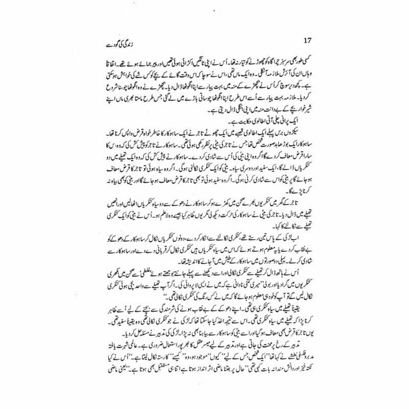 Ajaaib Khana - Irfan Javed - Books - Sang-e-meel Publications.