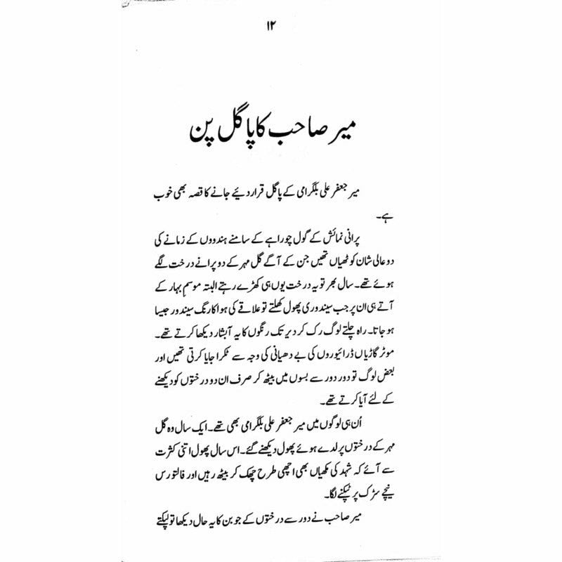 Jan Sahib - Books - Sang-e-meel Publications.