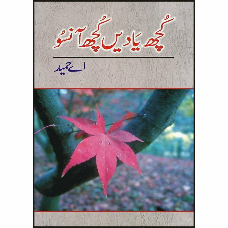 Kutchh Yaadain Kutchh Aansoo - Books - Sang-e-meel Publications.