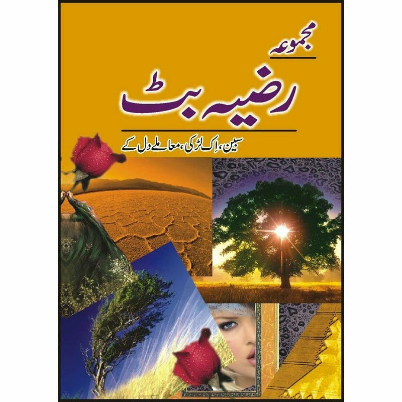 Majmua Razia Butt Sabeen - Books - Sang-e-meel Publications.