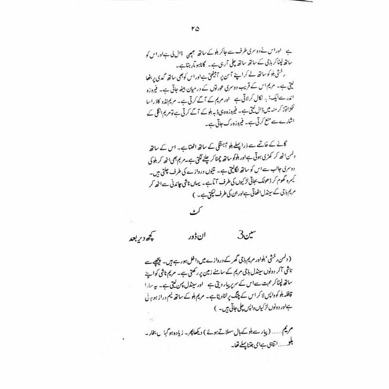 Nangay Paoon - Books - Sang-e-meel Publications.