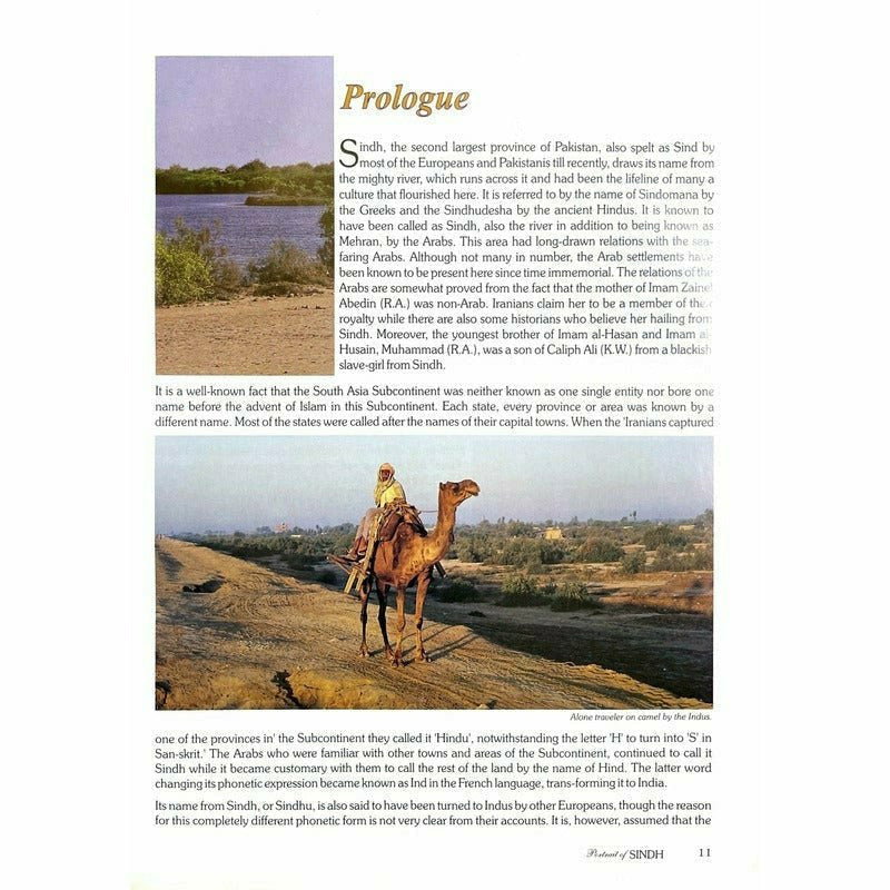 Portrait Of Sindh - Books - Sang-e-meel Publications.
