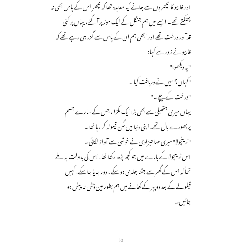 Rah-e-Naward-e-Shoq - Books - Sang-e-meel Publications.