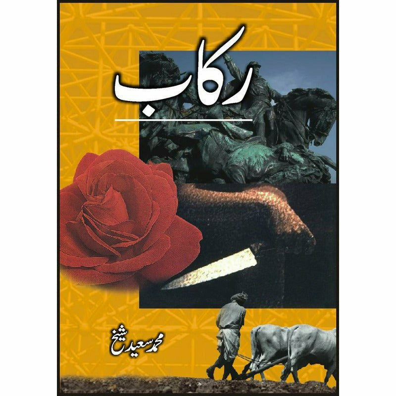 Rakaab - Books - Sang-e-meel Publications.