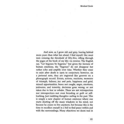 Bricked Souls - Muhammad Arsalan Qadeer