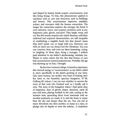 Bricked Souls - Muhammad Arsalan Qadeer