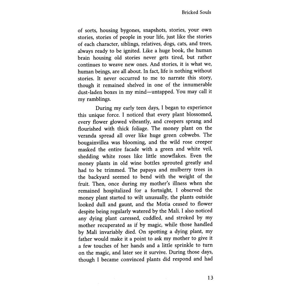 Bricked Souls - Muhammad Arsalan Qadeer
