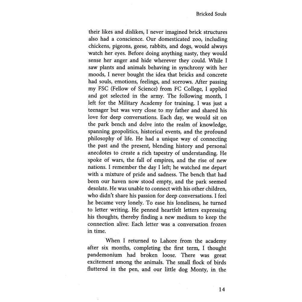 Bricked Souls - Muhammad Arsalan Qadeer