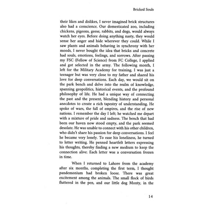 Bricked Souls - Muhammad Arsalan Qadeer