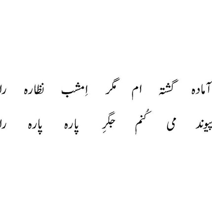 Kuliyat-e-Shohrat Bukhari - Shohrat Bukhari