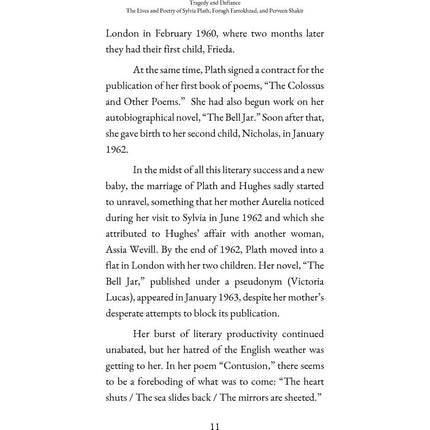 Tragedy and Defiance: The Lives and Poetry of Sylvia Plath, Forugh Farrokhzad, and Perveen Shakir - Mahmood Ali Ayub (Paperback)