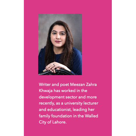 Mad Not Stupid - Meezan Zahra Khwaja