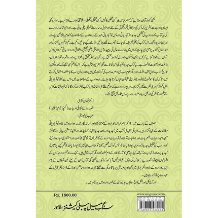 Urdu Adab Ki Tashkeel-e-Jadeed - Dr. Nasir Abbas Nayyer