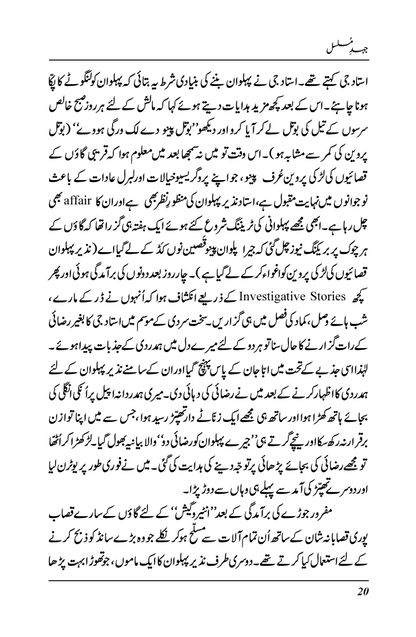 Jehd-e-Musalsal - Zulfiqar Ahmad Cheema (Signed copy)