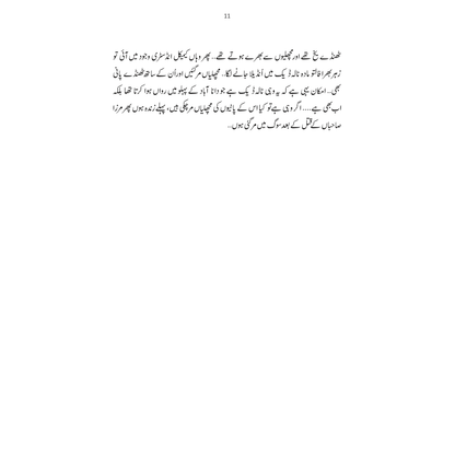 Kashmir Tasveer 1945 ka Safarnama - Mustansar Hussain Tarar