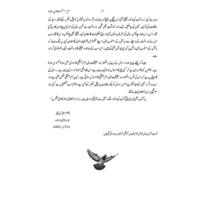 Mera Daghistaan Jadeed - Nasir Abbas Nayyer