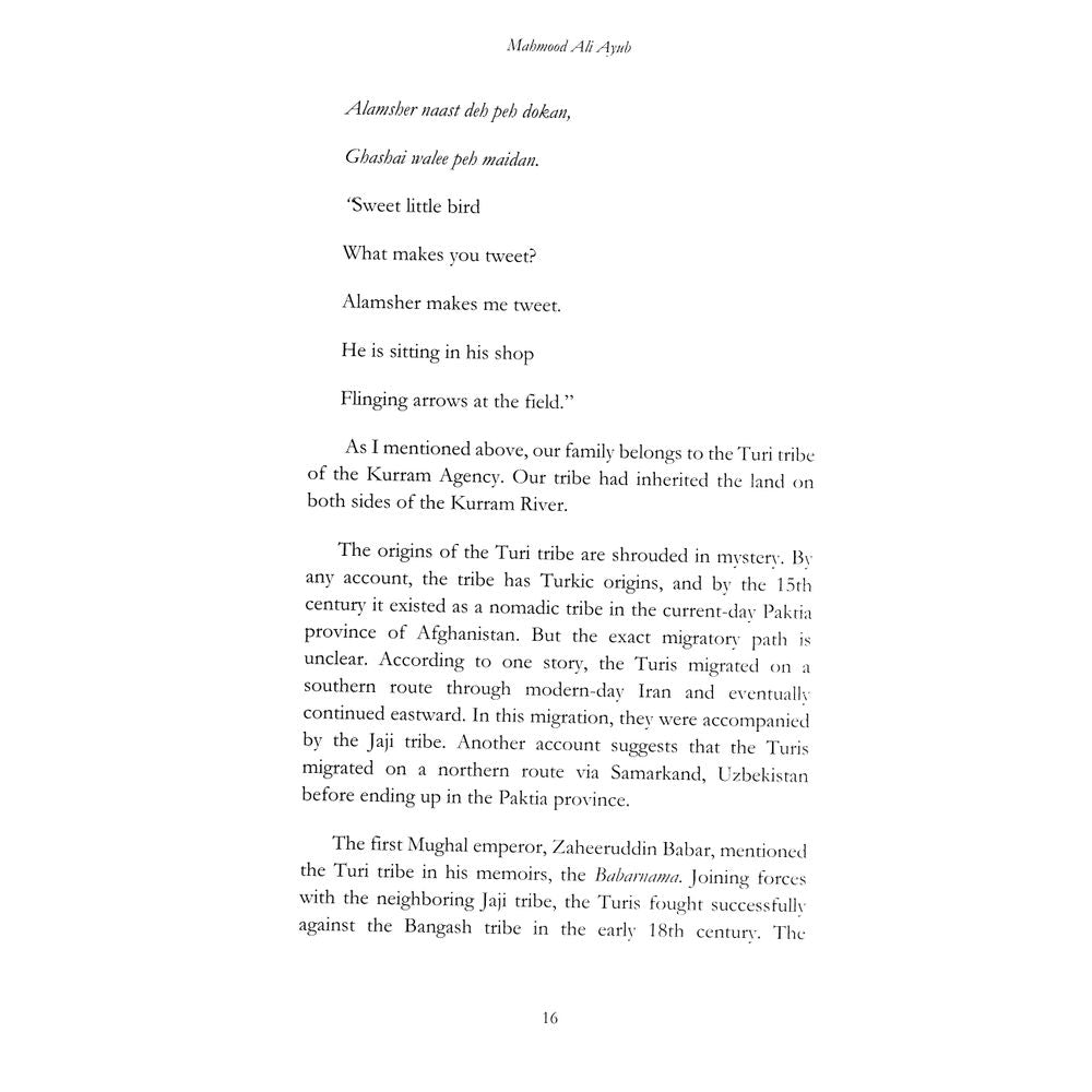 Coming Down From The Mountain