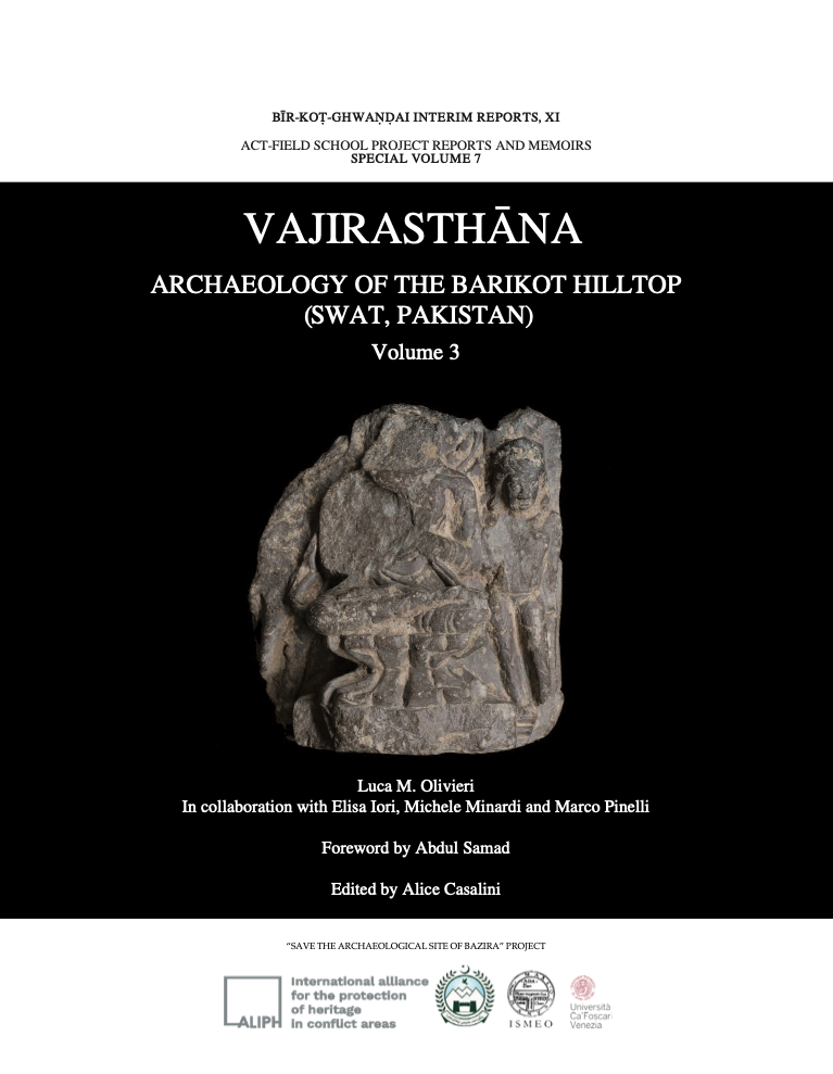Vajirasthana - Archaeology of the Barikot Hilltop (Swat, Pakistan) (ebook) - Luca M. Olivieri