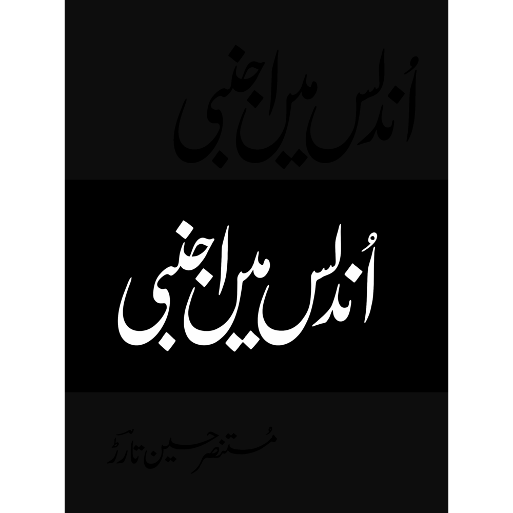 Undalis Mein Ajnabi (Deluxe Edition) - Mustansar Hussain Tarar - Sang-e-meel Publications