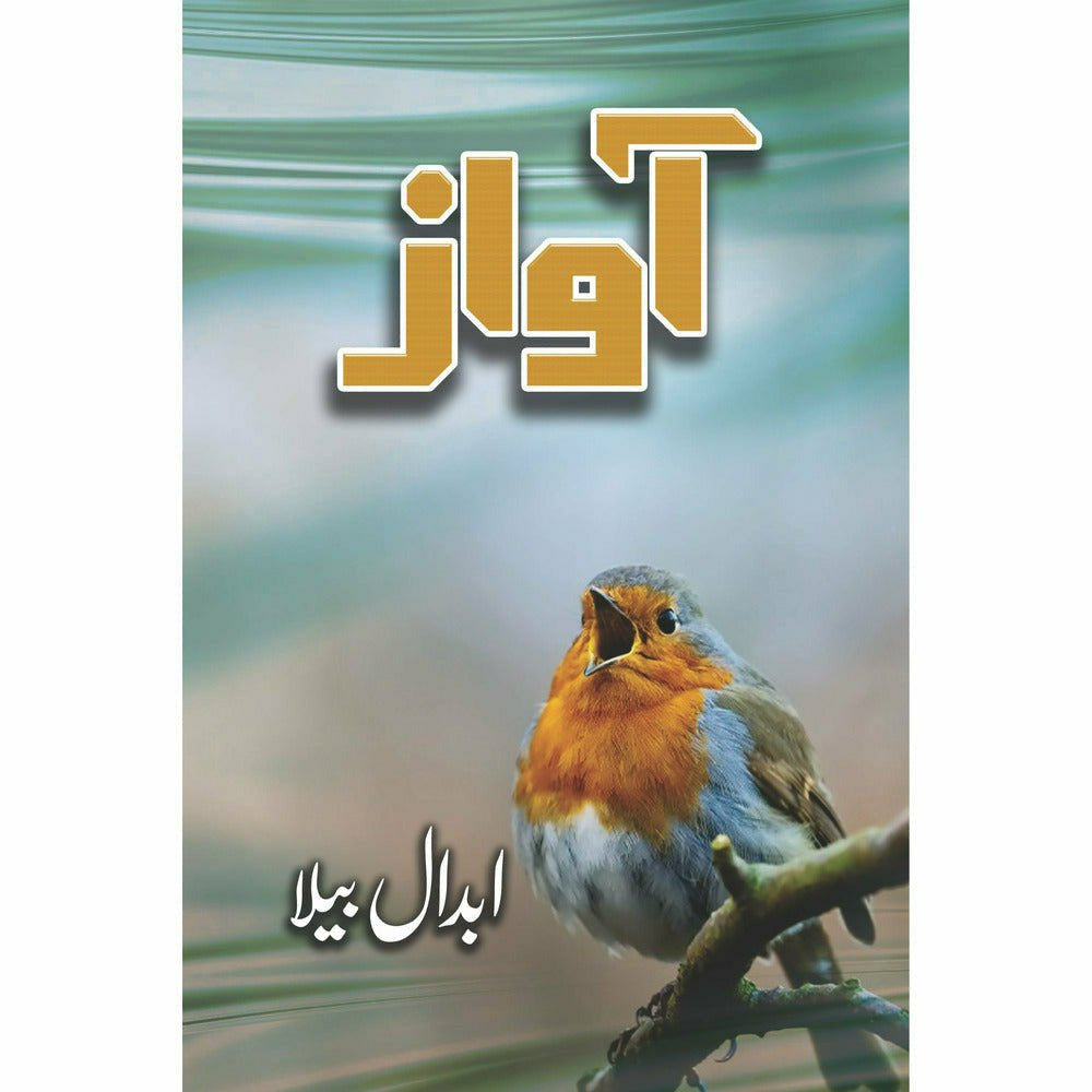 Awaz - Abdaal Bela - Sang-e-meel Publications
