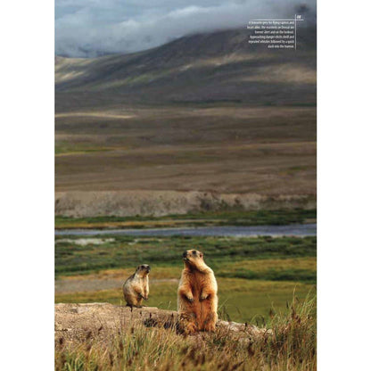 Deosai: Land Of The Giant - Sang-e-meel Publications