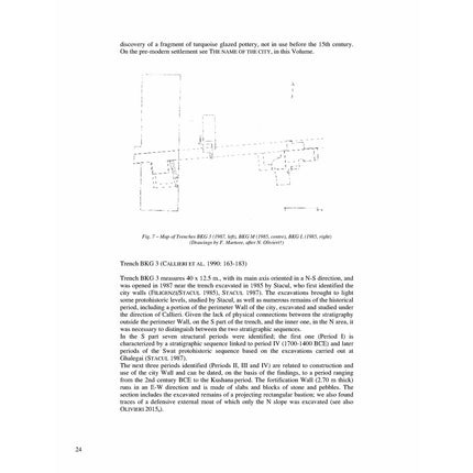 Ceramics from the excavations In the historic settlement At Bīr-Koṭ-Ghwaṇḍai (barikot) Swat, Pakistan (1984-1992) - Pierfrancesco Callieri and Luca M. Olivieri - Sang-e-meel Publications