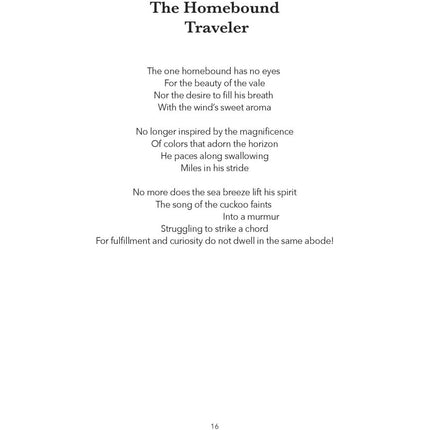 The Frozen Lake - Mazhar Nisar