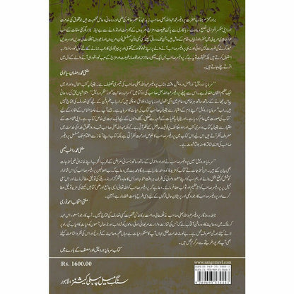 Sarmaya e Darwesh - Prof. Muhammad Abdullah Bhatti - Sang-e-meel Publications