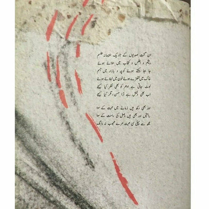 A Song For This Day: Aaj Kay Naam -  Books -  Sang-e-meel Publications.