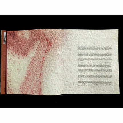 A Song For This Day: Aaj Kay Naam -  Books -  Sang-e-meel Publications.