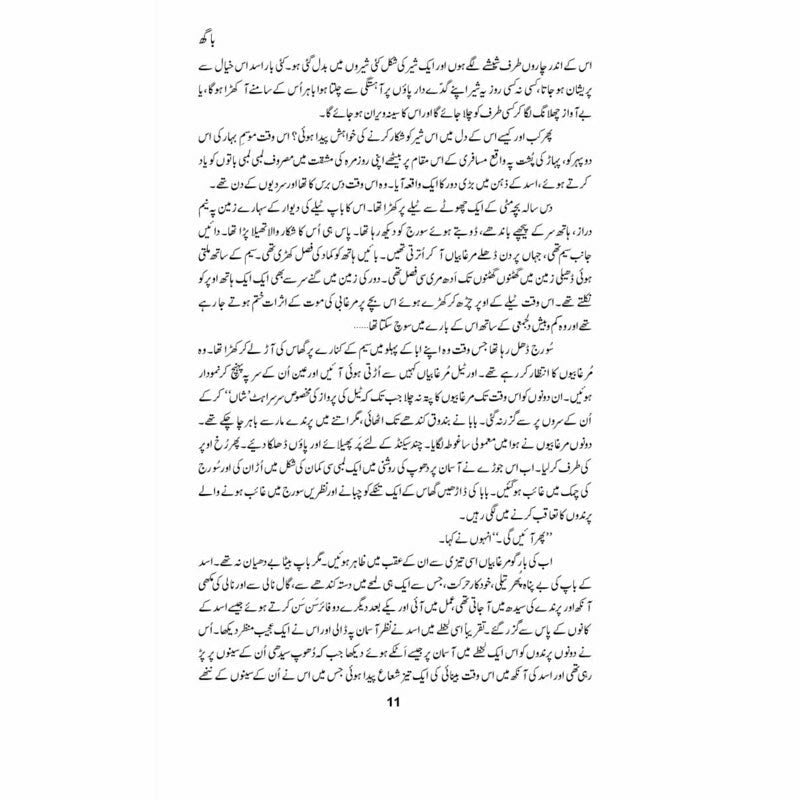 Baagh -  Books -  Sang-e-meel Publications.