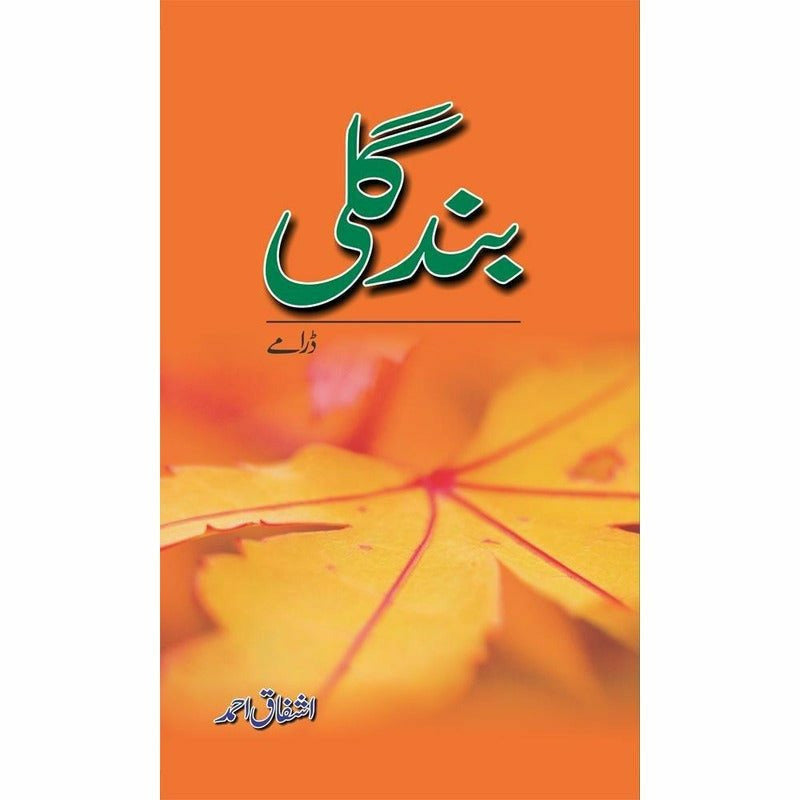Band Gali -  Books -  Sang-e-meel Publications.