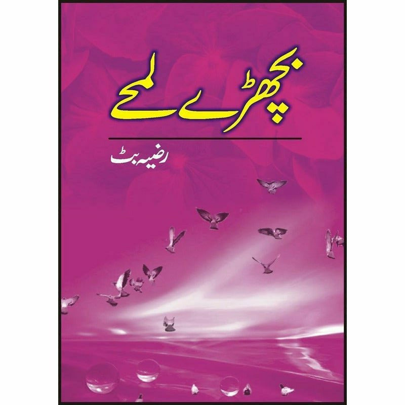 Bichhray Lumhay -  Books -  Sang-e-meel Publications.