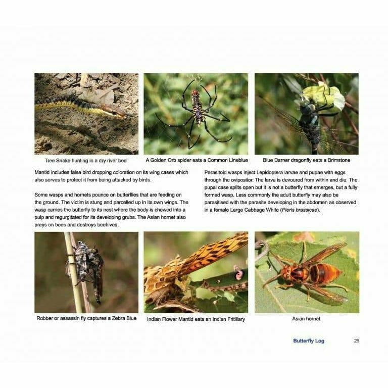 Butterfly Log: Margalla Hills National Park -  Books -  Sang-e-meel Publications.