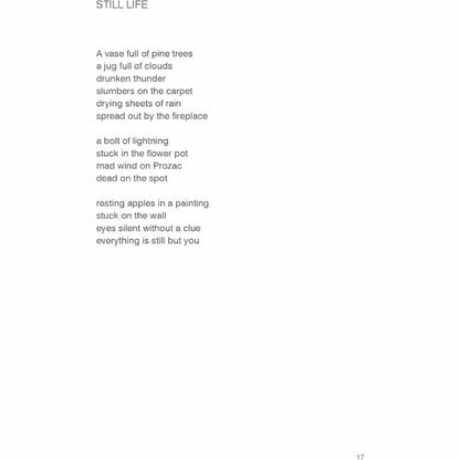 Charsi Nama and Other Poems - Wajahat Malik -  Books -  Sang-e-meel Publications.