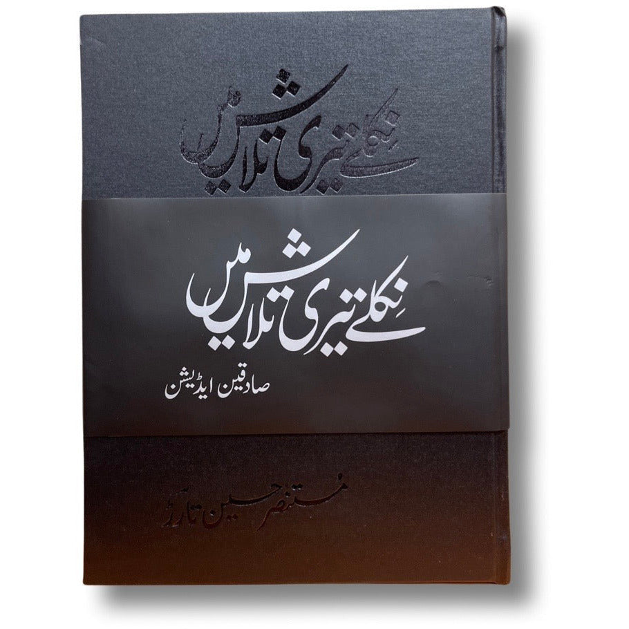 Niklay Teri Talash Mein (Sadequain Edition) - Mustansar Hussain Tarar