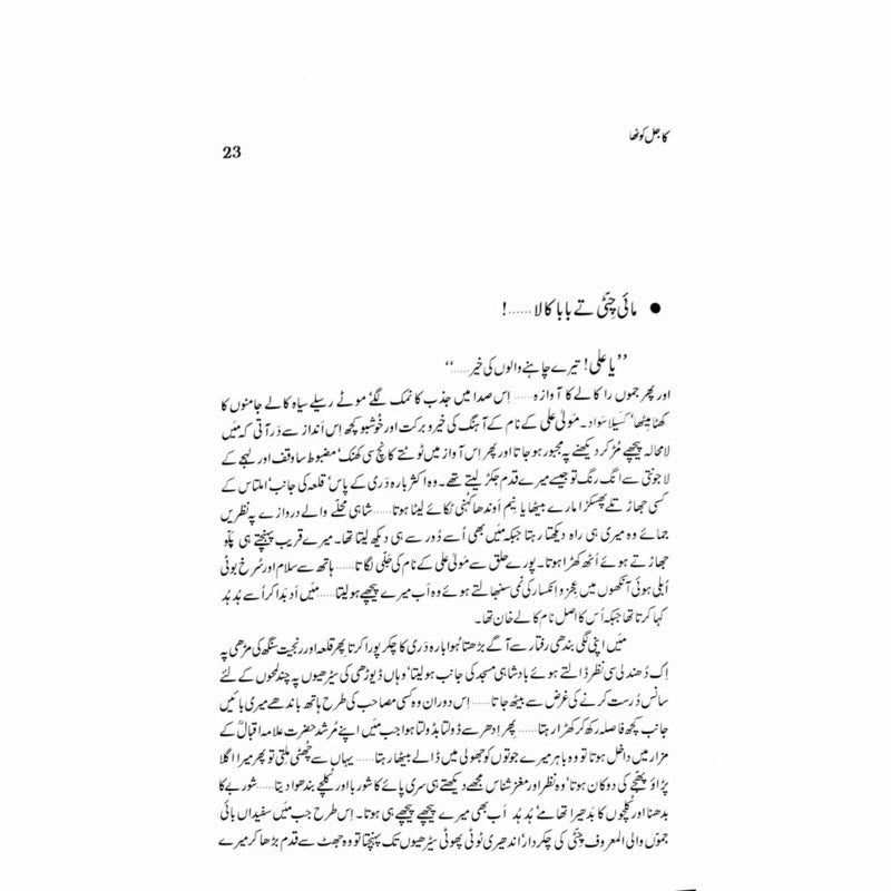 Kajal Kotha -  Books -  Sang-e-meel Publications.