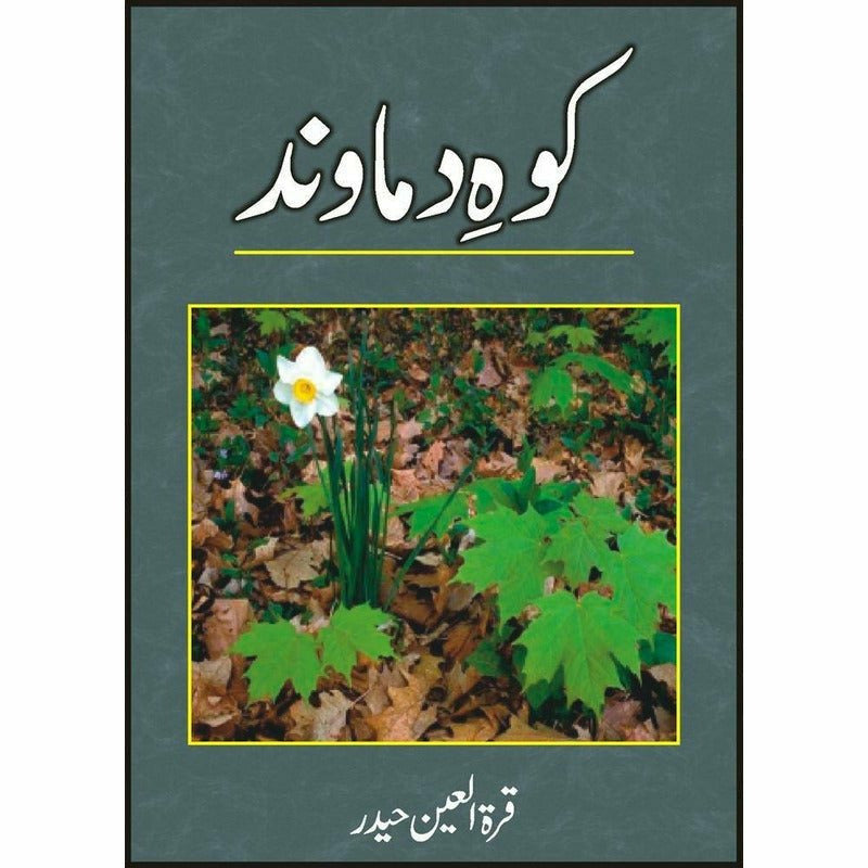 Koh-E-Damaavand -  Books -  Sang-e-meel Publications.