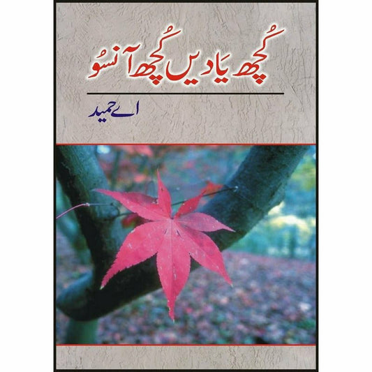 Kutchh Yaadain Kutchh Aansoo -  Books -  Sang-e-meel Publications.