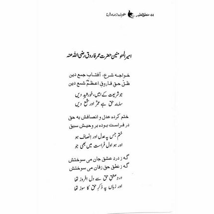 Mantiq ul Tair: Ik Raaz-e-Shanasai - Muhammad Saleem Sethi -  Books -  Sang-e-meel Publications.