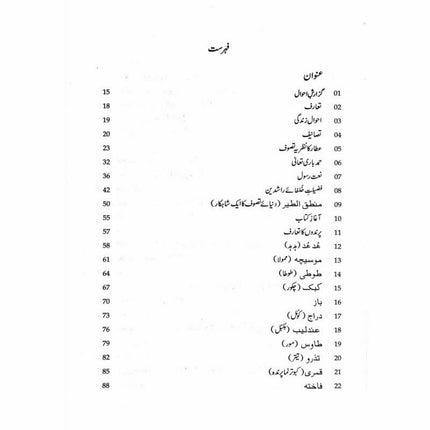 Mantiq ul Tair: Ik Raaz-e-Shanasai - Muhammad Saleem Sethi -  Books -  Sang-e-meel Publications.