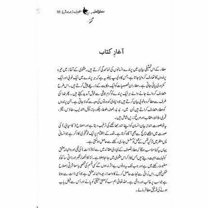 Mantiq ul Tair: Ik Raaz-e-Shanasai - Muhammad Saleem Sethi -  Books -  Sang-e-meel Publications.