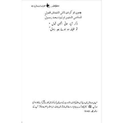 Mantiq ul Tair: Ik Raaz-e-Shanasai - Muhammad Saleem Sethi -  Books -  Sang-e-meel Publications.