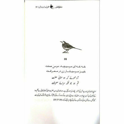 Mantiq ul Tair: Ik Raaz-e-Shanasai - Muhammad Saleem Sethi -  Books -  Sang-e-meel Publications.