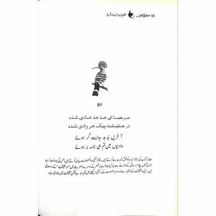 Mantiq ul Tair: Ik Raaz-e-Shanasai - Muhammad Saleem Sethi -  Books -  Sang-e-meel Publications.