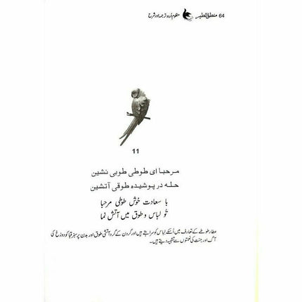 Mantiq ul Tair: Ik Raaz-e-Shanasai - Muhammad Saleem Sethi -  Books -  Sang-e-meel Publications.