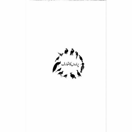 Mantiq ul Tair: Ik Raaz-e-Shanasai - Muhammad Saleem Sethi -  Books -  Sang-e-meel Publications.