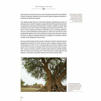 Mithi Whispers in the Sand -  Books -  Sang-e-meel Publications.